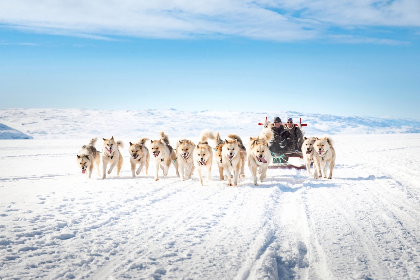 Crediting is required when using photos from our galleries. This means you have to credit both the photographer and Visit Greenland (http://vg.gl/accr)

Photo by Anders Beier - Visit Greenland

This photo is licensed under Visit Greenland License Agreement.

Please refer to the license agreement for more info about the rights of use associated with the image.

Download the agreement here:

http://vg.gl/vglicense

When downloading or sharing this image you enter into an agreement with Visit Greenland A/S about the use of the image under this license.

If you want to apply for extended user rights for downloads on this database please read these guidelines: http://vg.gl/guidel